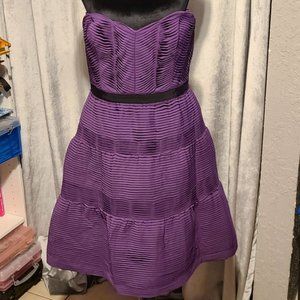 BCBG Max Azria Purple Strapless Dress Size 10 NWT